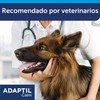 Adaptil Calm - Anti-stress for dogs - Home Alone, Fear,