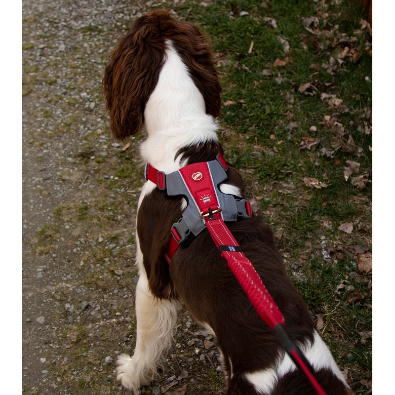 EzyDog No-Pull Dog Harness for Small Dogs, X-Link Anti-Pull Harness,