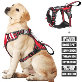WINSEE Service Dog Vest No Pull Pet Harness with 7 Dog Patches, Reflective with Durable Soft Padded Handle for Training Small, Medium, Large, and Extra-Large Dogs (Large, Red)