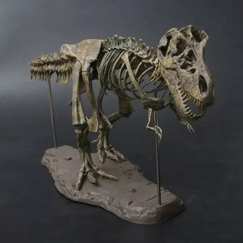 Jextech Esqueleto Tiranosaurio Rex T Rex Dinosaurio Fosil Armar 70cm