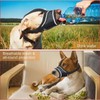 Breathable Mesh Dog Muzzle Soft Mesh Adjustable Puppy Muzzle Reflective