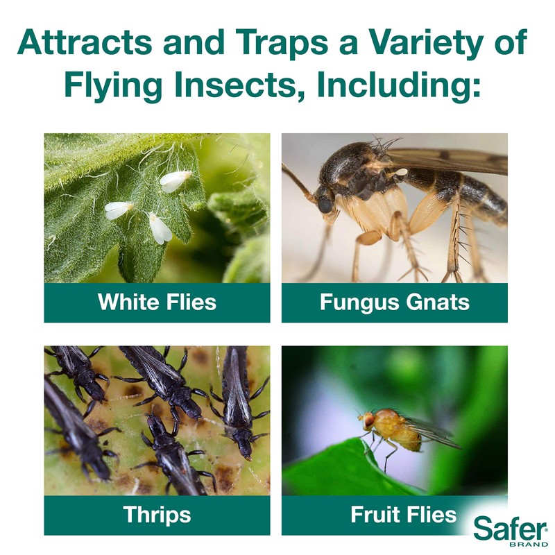 Safer Brand 5026 Houseplant Sticky Stake Insect Traps for Indoor