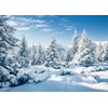 LTLYH 10x8ft Snowy Backdrop for Photography Winter Scene Backdrop Christmas