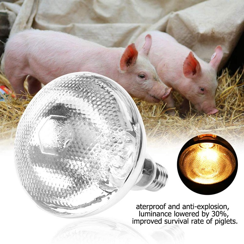 Zerodis 1 x 100 W - 245 W Farm Piglet