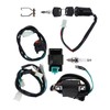 Wiring Loom CDI Ignition Coil, Wiring Loom Harness Kill Switch,