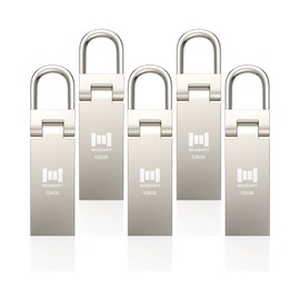 MOSDART 128GB Waterproof USB2.0 Flash Drive, exFAT Metal Memory Stick with Keychain, for System Back, Data Storage, Silver(Pack of 5)
