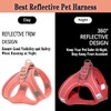 Dog Harness Lead Set Dog Chest Strap Vest Harness with