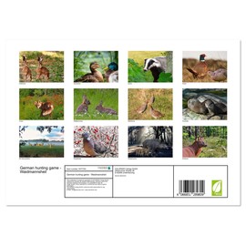 German hunting game - Waidmannsheil (Monthly Wall Calendar 2025 11.7" x 16.5" (open)), CALVENDO 14 Month Calendar