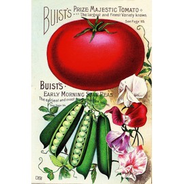 A SLICE IN TIME Buist's Tomato Vintage Vegetables Seed Packet Catalogue Advertisement Poster