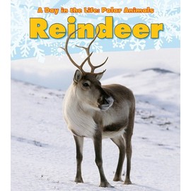 Reindeer (A Day in the Life: Polar Animals)