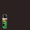 Rust-Oleum 241169 High Heat Ultra Spray Paint, 12 oz, Black