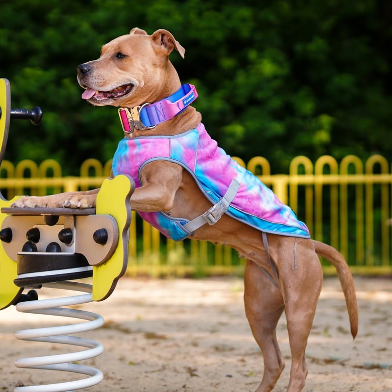Spark Paws Spark Paws Chilltech? Dog Cooling Vest - Summer