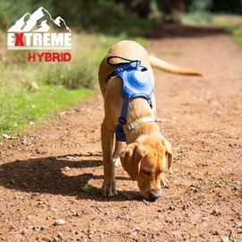 Extreme Hybrid Harness in Aqua Blue - L