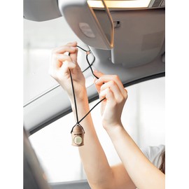 AREON Fresco FRTN21 Hanging Car and Home Air Freshener, Apple & Cinnamon (Pack of 3)