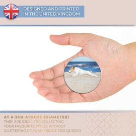 Destination Vinyl ltd Magnet for Refrigerator, Fridge - Cute Jack Russell Dog Puppy Beach for Office, Cabinet and Whiteboard, Magnetic Stickers, 8813