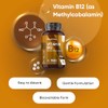 Vitamin B12 Tablets - 365 Tablets - 1 Year Supply