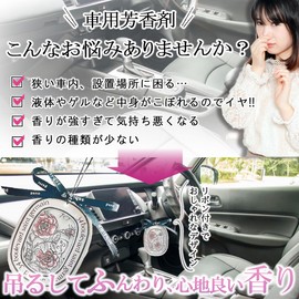 Micolora Car Air Freshener Hanging Closet (Set of 5, Elderflower)