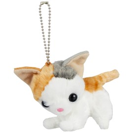 Itshogaime Chokon to Mascot Miké Cat