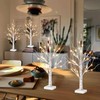 Vanthylit 4 Pcs Lighted Birch Tree Battery Powered Tabletop Tree