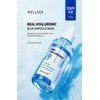 Wellage Real Hyaluronic Blue Ampoule Mask (27ml x 5 sheets)