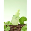 Papa Recipe Real Centella Cica Calming Serum 30ml / 리얼
