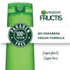 Garnier Fructis Shampoo Sleek and Shine