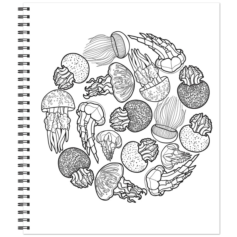 Color & Frame - Ocean Treasures (Adult Coloring Book)