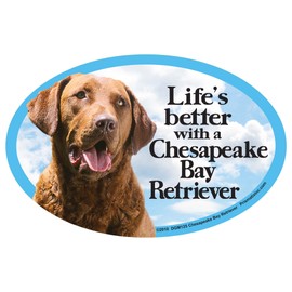 Prismatix Chesapeake Bay Retriever Oval Dog Magnet for Cars