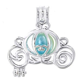 Vie jeune 10pcs Bear Paw Print Pearl Cage Bright Silver Beads Cage Locket Pendant Jewelry Making Supplies-For Oyster Pearls, Essential Oil Diffuser, Fun Gifts (Bear Paw)