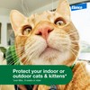 Advantage XD Large Cat Flea Prevention & Treatment For Cats