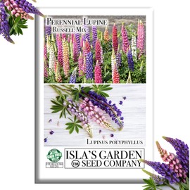 Russell Mix Lupine Flower Seeds (Lupinus perennis) – 150+ Non-GMO & Heirloom Seeds by Isla’s Garden Seeds, Vibrant Perennial Blooms for Pollinator Gardens & Cottage Borders, Great Gardening Gift
