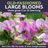 Sweet Pea Seeds Heirloom Mix - Bulk 1 Ounce Packet