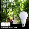 Bioluz LED Full Spectrum Grow Light Bulbs for Indoor Plants,