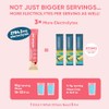 Venture Pal Sugar Free Electrolyte Powder Packets - Liquid Daily