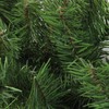 Northlight 13" Green Canadian Pine Artificial Christmas Swag - Unlit