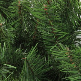 Northlight 13" Green Canadian Pine Artificial Christmas Swag - Unlit