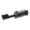 Front Strut & Coil Spring Assembly Set Driver & Passenger