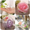Christmas Empty Clear Balls Pendant: 15pcs Transparent Fillable Ball Xmas