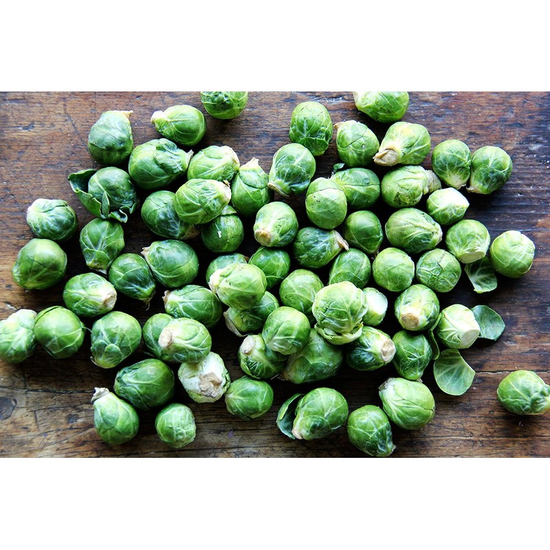 22Day Seeds: Seeds Brussels Sprouts Long Island/Green Cabbage/Non GMO/Heirloom