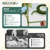 Floral Tape 2 Rolls Set Artificial Flower Tape Brown Flower