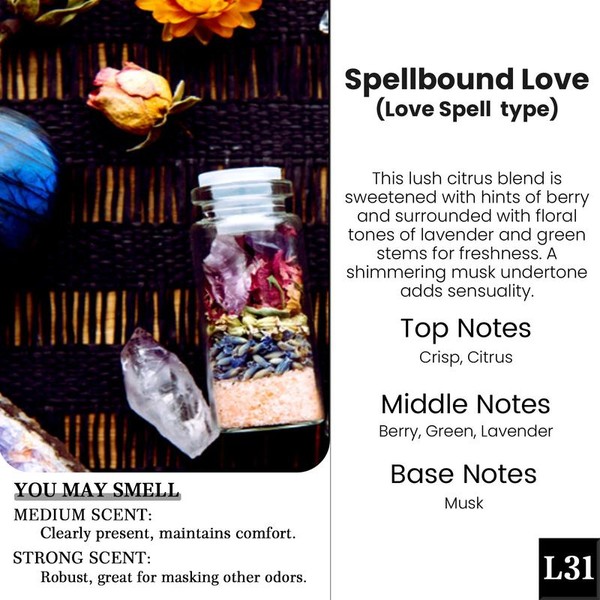 2 Pack Pick 80+Scents Car Air Freshener Hanging Car Diffuser