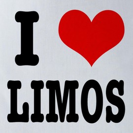CafePress Limos.Png Polyester Tote Bag 16"x16"