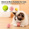 Furry Tao's Interactive Cat Ball Toy, Intelligent Indoor Automatic Moving