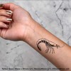 Azeeda 4 x 'Knallgarnelen' Temporäre Tattoos - Wasserfest, Hautfreundlich &