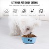 Stainless Steel Dog Bowls, Nonslip Rubber Bottom No Spill Proof