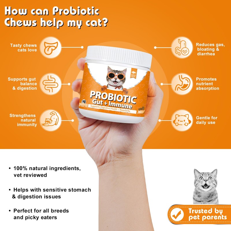 Daily Probiotics for Cats - 90 Salmon Flavored Soft Chews