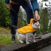 RC Pets Packable Rain Poncho, Dog Coat, Small, Raindrops