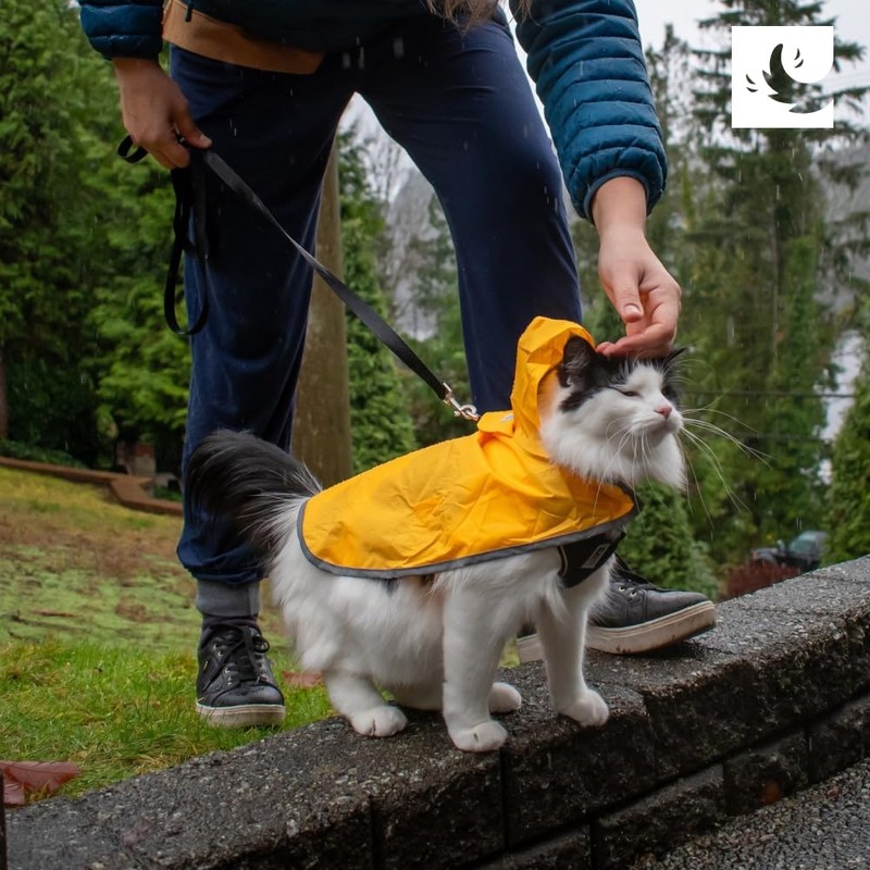 RC Pets Packable Rain Poncho, Dog Coat, Small, Raindrops