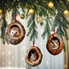 Racoon Owl Christmas Tree Decorations, 2D Raccoon Squirrel Ornament Pendant,