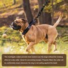 Hikiko Martingale Collar for Dogs Reflective Nylon Dog Collar with